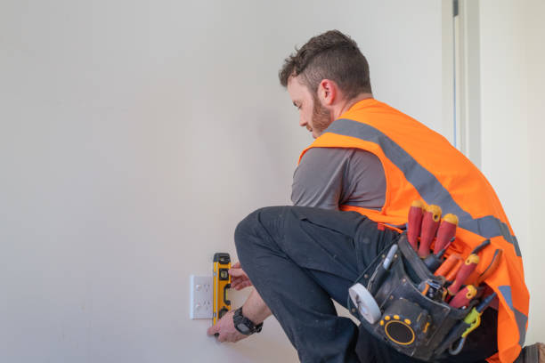 Best Electric Panel Repair  in Norton Shores, MI