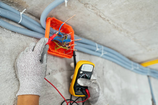 Best Generator Installation Services  in Norton Shores, MI